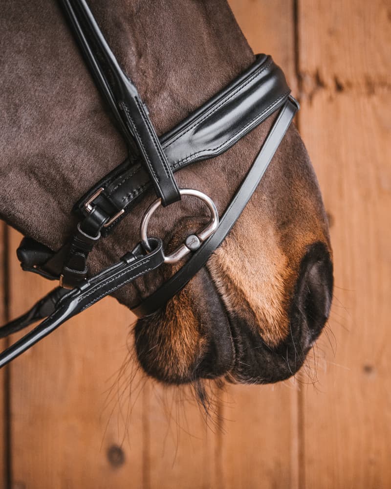 Fager Stephanie Titanium Onderlegtrens Onderlegtrens - Maddelin Equestrian Fager