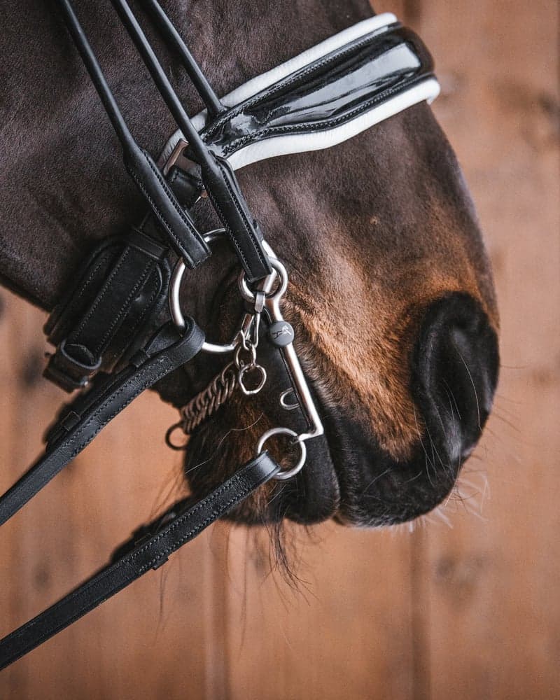 Fager Stephanie Titanium Onderlegtrens Onderlegtrens - Maddelin Equestrian Fager
