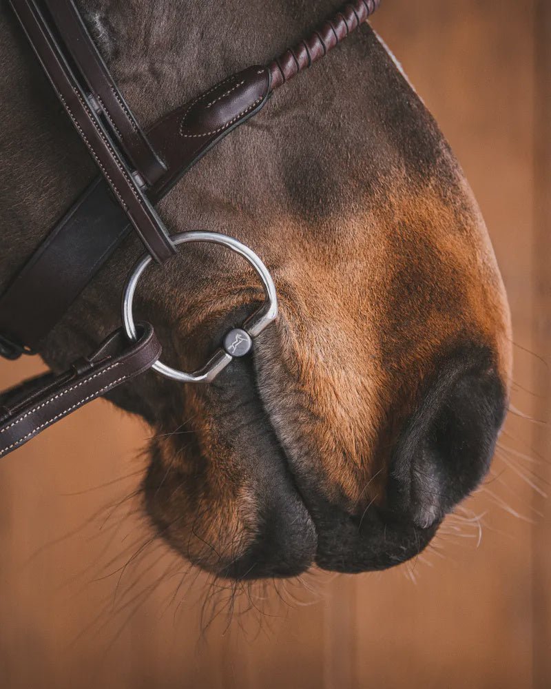 Fager Thilde Titanium Fixed rings Bit Bus, D, Eggbutt,... - Maddelin Equestrian Fager