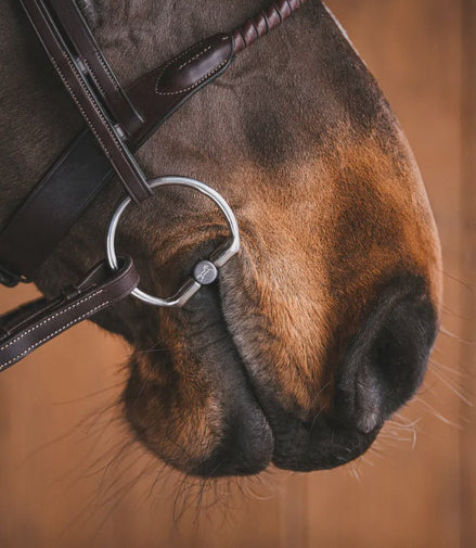 Fager Thilde Titanium Fixed rings Bit Bus, D, Eggbutt,... - Maddelin Equestrian Fager