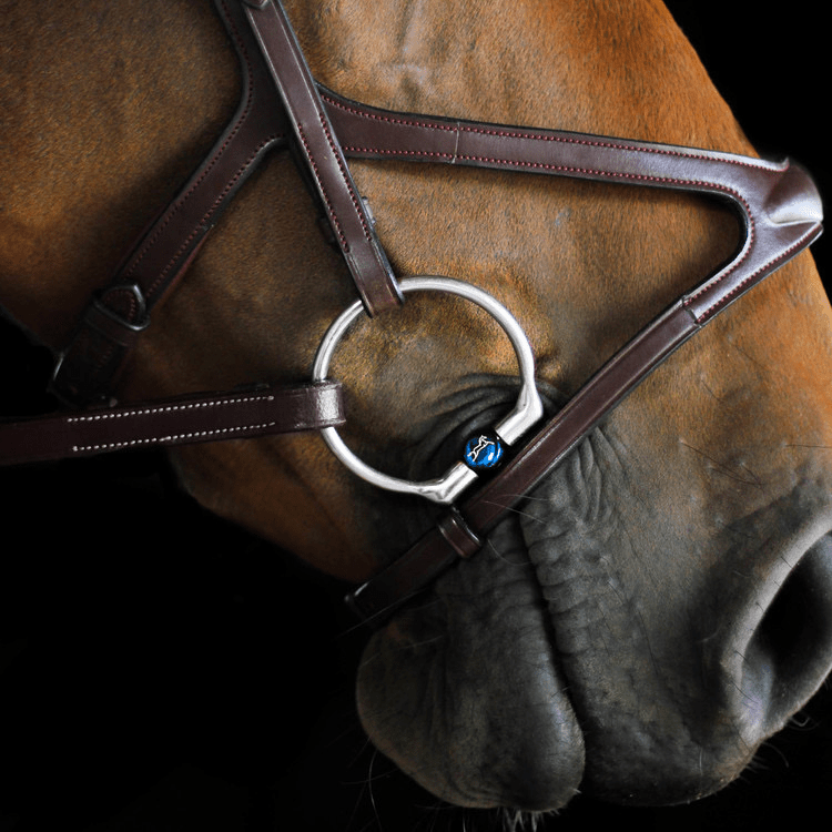 Fager Titanium Roller Eggbutts bit - BIANCA Bus, D, Eggbutt,... - Maddelin Equestrian Fager