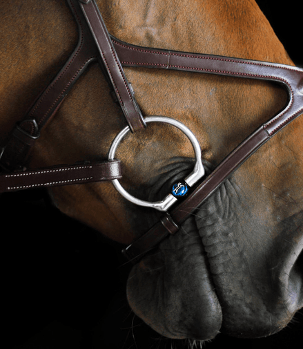Fager Titanium Roller Eggbutts bit - BIANCA Bus, D, Eggbutt,... - Maddelin Equestrian Fager