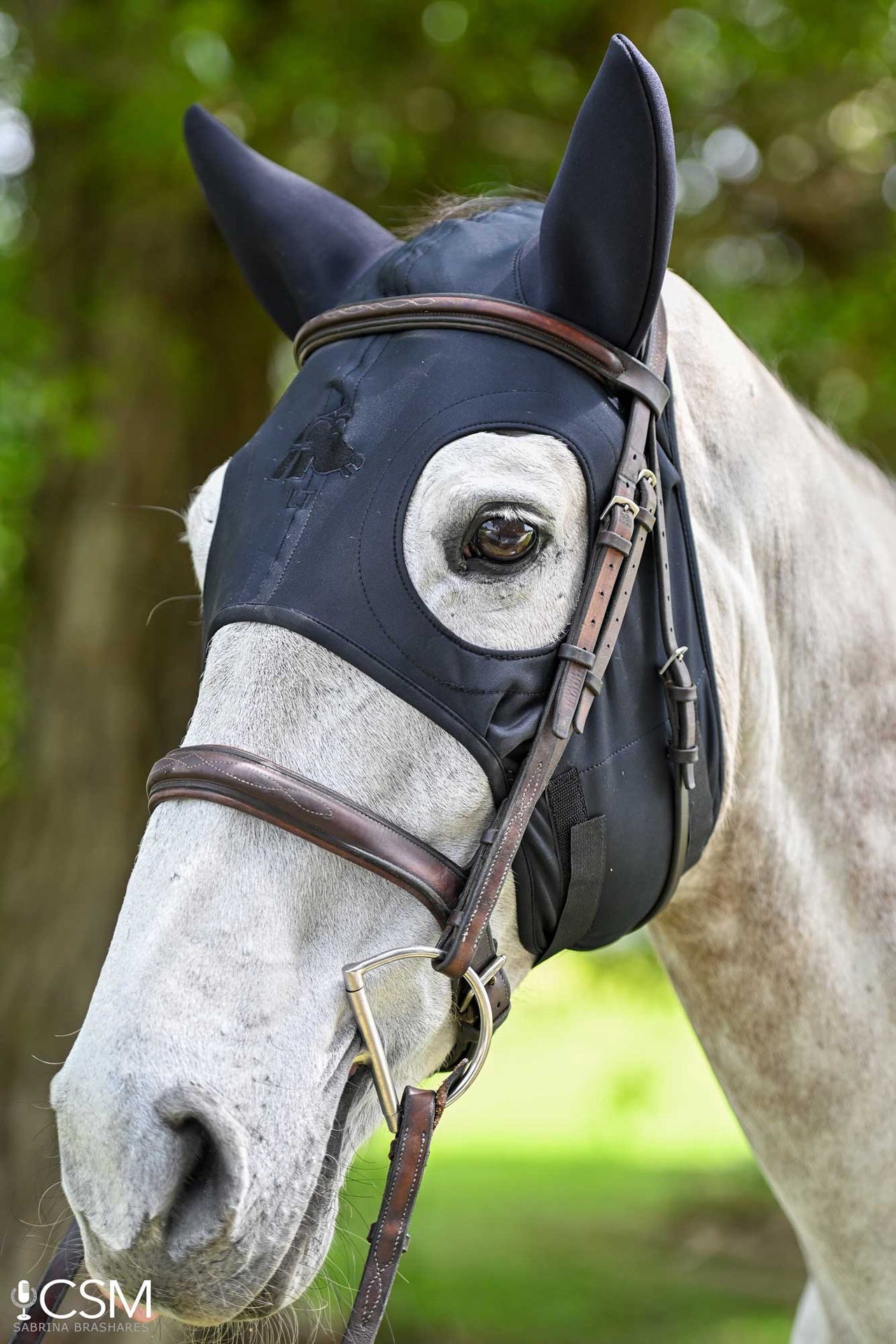 Fenwick Liquid Titanium Mask Toebehoren hoofdstellen - Maddelin Equestrian Fenwick
