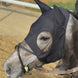 Fenwick Liquid Titanium Mask Toebehoren hoofdstellen - Maddelin Equestrian Fenwick