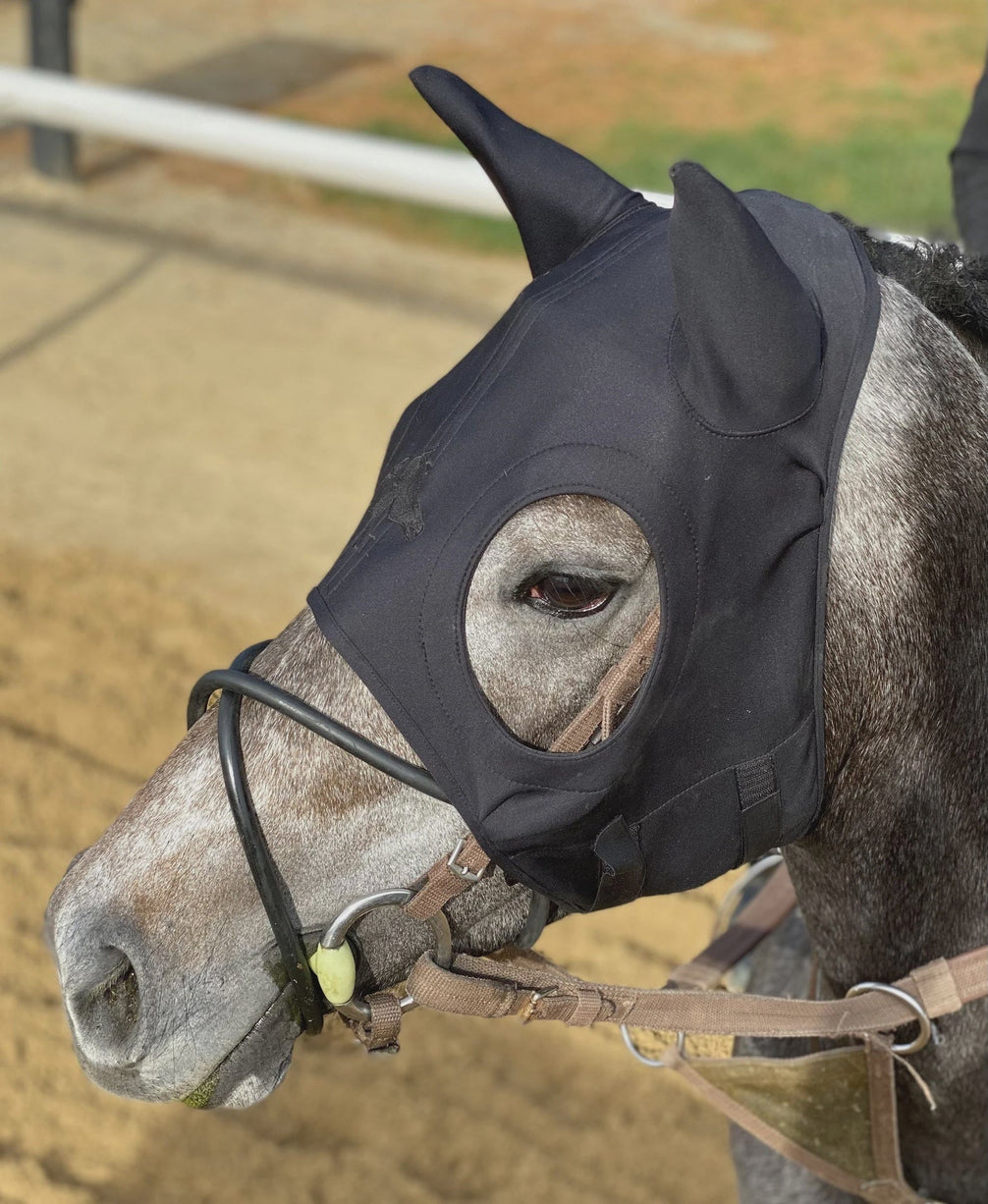 Fenwick Liquid Titanium Mask Toebehoren hoofdstellen - Maddelin Equestrian Fenwick