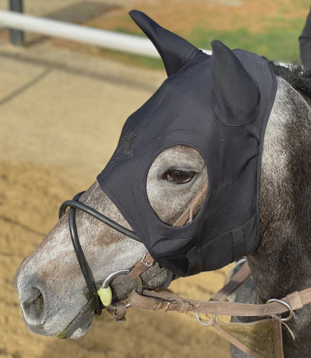 Fenwick Liquid Titanium Mask Toebehoren hoofdstellen - Maddelin Equestrian Fenwick