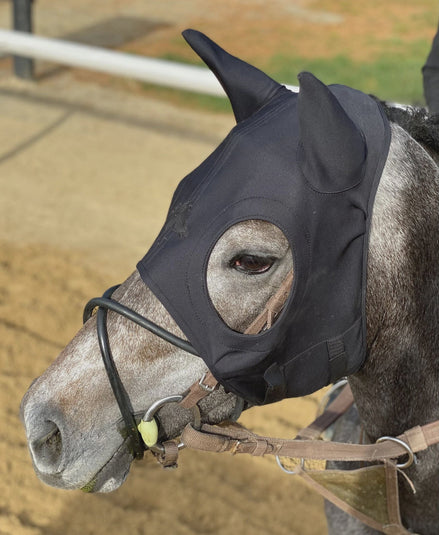 Fenwick Liquid Titanium Mask Toebehoren hoofdstellen - Maddelin Equestrian Fenwick