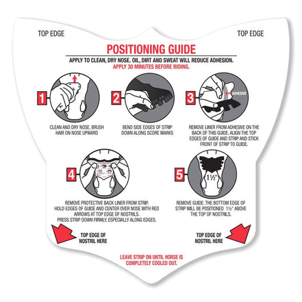 Flair Nasal Strip Toebehoren hoofdstellen - Maddelin Equestrian Flair