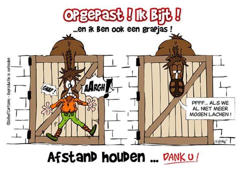 FR8MAN Humoristische Stalborden NL Stalbenodigdheden - Maddelin Equestrian FR8MAN