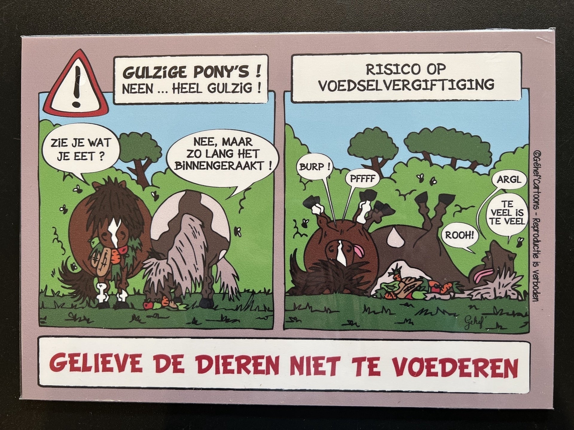 FR8MAN Humoristische Stalborden NL Stalbenodigdheden - Maddelin Equestrian FR8MAN