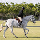Freejump Air Pure Stijgbeugels Beugels - Maddelin Equestrian Freejump
