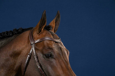 Dy'on Flat Leather V-Shaped Browband Hunter
