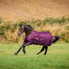 Bucas Freedom Turnout Blackberry op een paard in de wei
