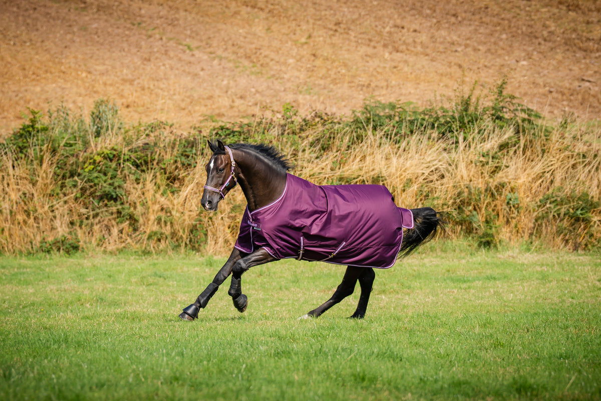 Bucas Freedom Turnout Blackberry op een paard in de wei