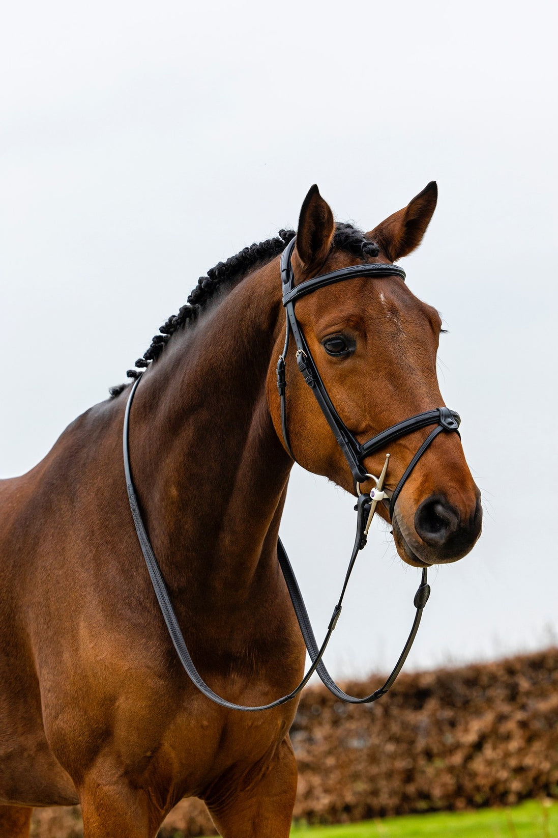Trust Geneva Combined Noseband Hoofdstel