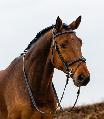Trust Geneva Combined Noseband Hoofdstel