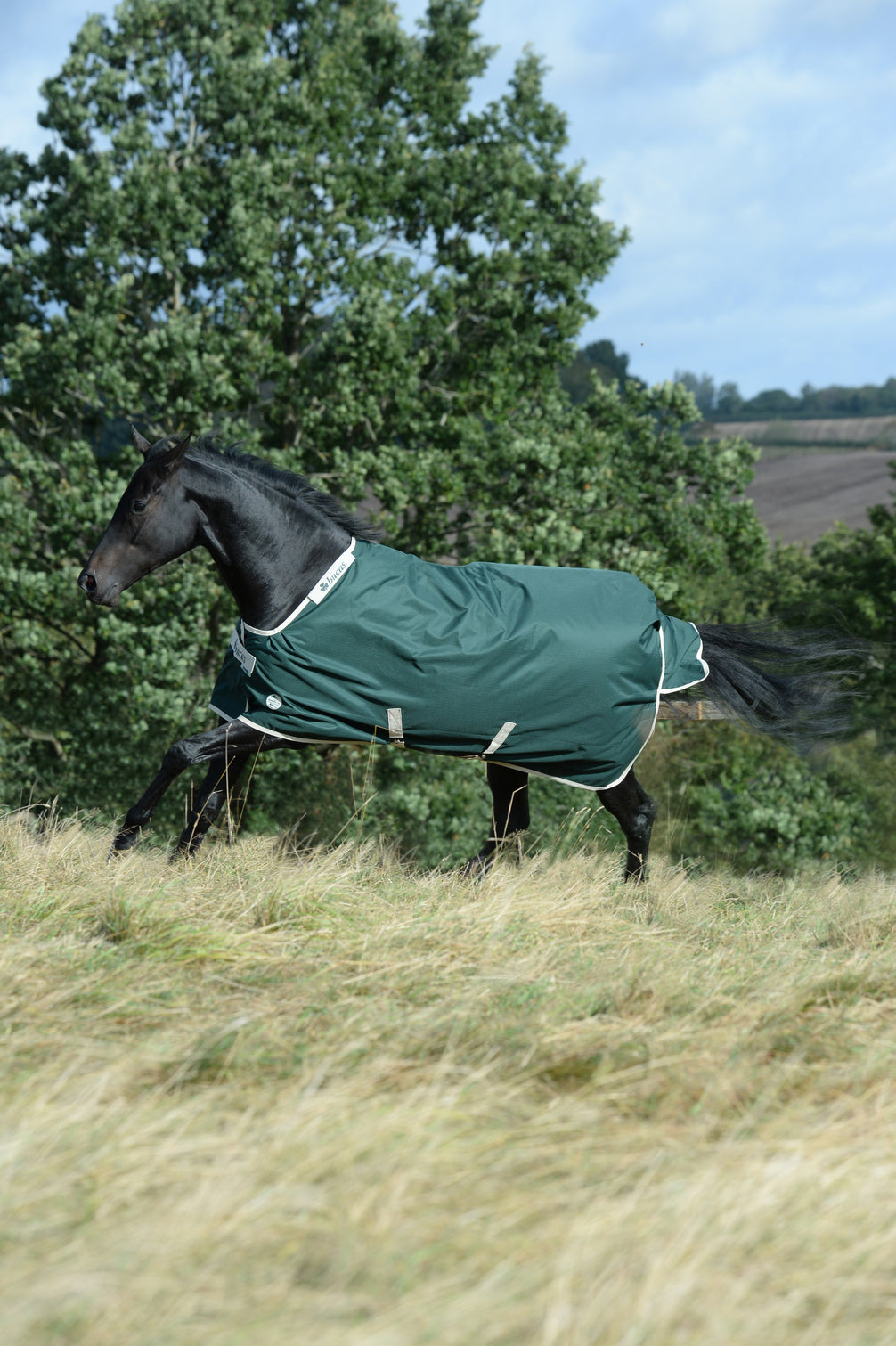 Bucas Greenline Turnout Green/Cream op een paard in de wei