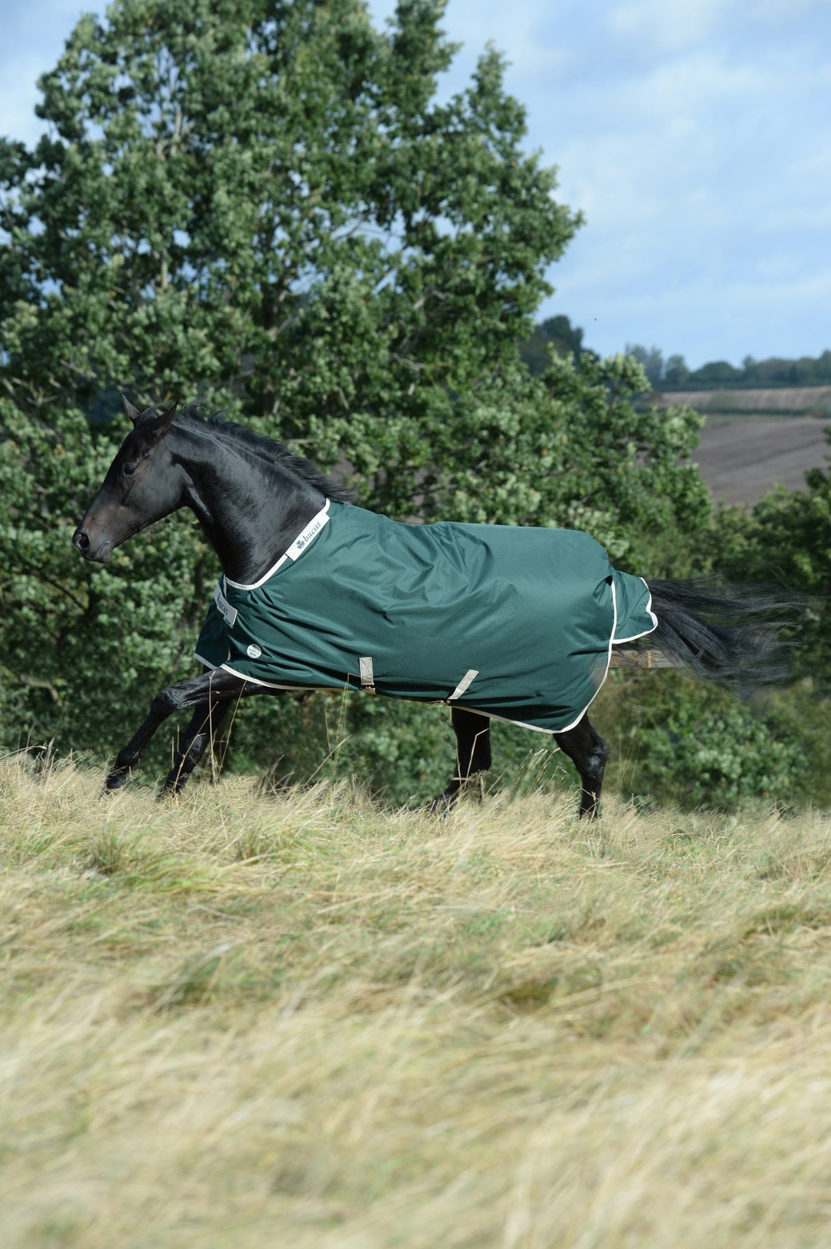 Bucas Greenline Turnout Green/Cream op een paard in de wei