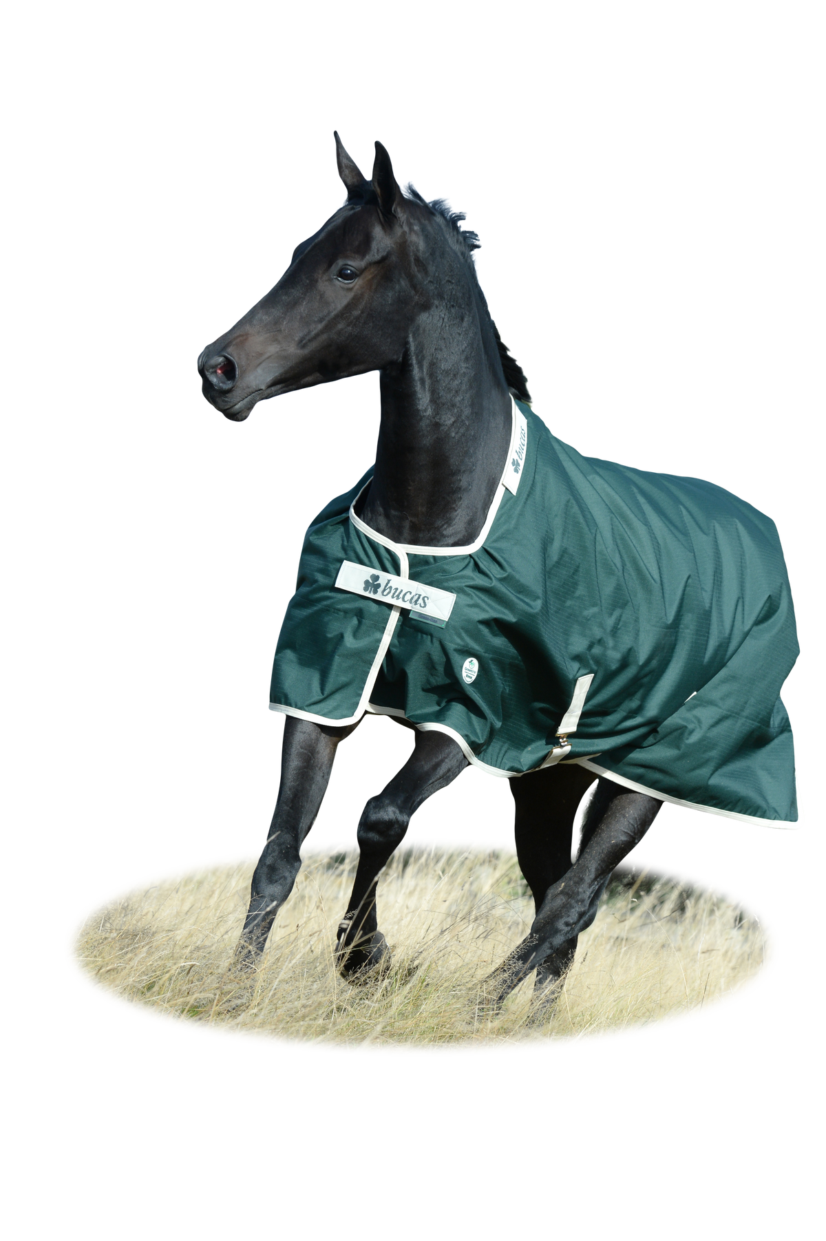 Bucas Greenline Turnout Green/Cream in galop
