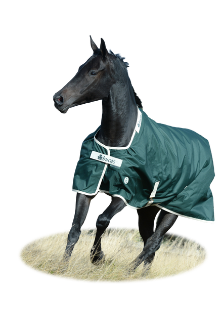 Bucas Greenline Turnout Green/Cream in galop