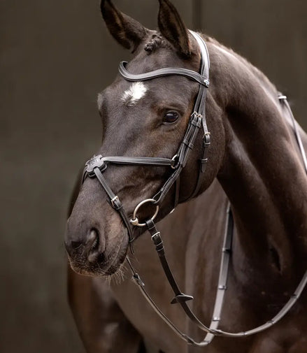 LeMieux Arika Grackle Headstall