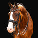 HB Showtime All You Needed Stang & Trens - Maddelin Equestrian HB