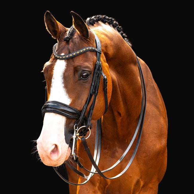 HB Showtime All You Needed Stang & Trens - Maddelin Equestrian HB