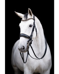 HB Showtime All You Needed Stang & Trens Stang & Trens - Maddelin Equestrian HB