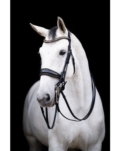 HB Showtime All You Needed Stang & Trens Stang & Trens - Maddelin Equestrian HB