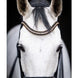 HB Showtime All You Needed Stang & Trens Stang & Trens - Maddelin Equestrian HB