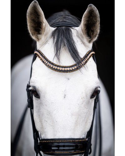 HB Showtime All You Needed Stang & Trens Stang & Trens - Maddelin Equestrian HB