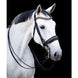 HB Showtime All You Needed Stang & Trens Stang & Trens - Maddelin Equestrian HB