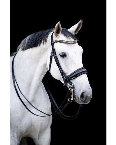 HB Showtime All You Needed Stang & Trens Stang & Trens - Maddelin Equestrian HB