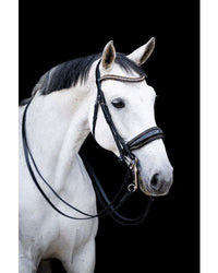 HB Showtime All You Needed Stang & Trens Stang & Trens - Maddelin Equestrian HB