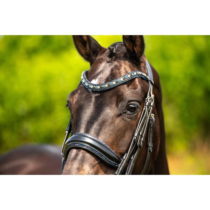 HB Showtime All You Needed - Trens Stang & Trens - Maddelin Equestrian HB