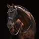 HB Showtime All You Needed - Trens Stang & Trens - Maddelin Equestrian HB