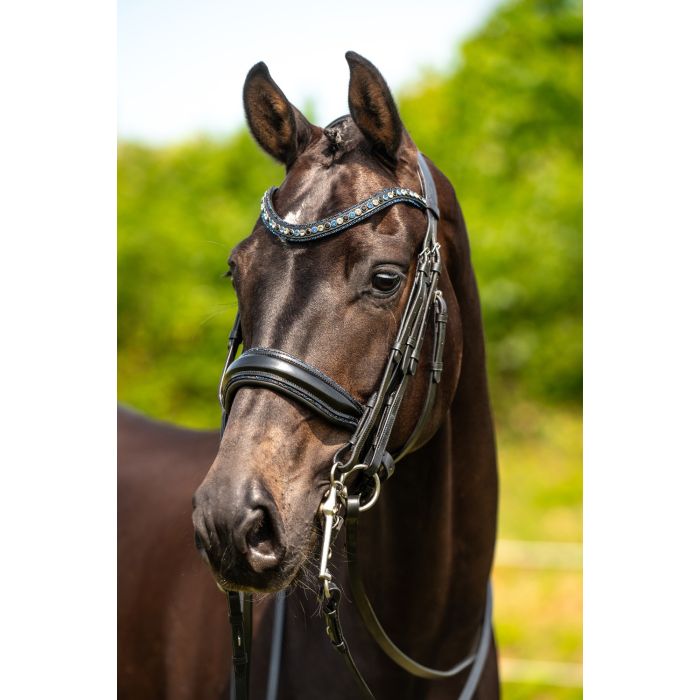 HB Showtime All You Needed - Trens Stang & Trens - Maddelin Equestrian HB