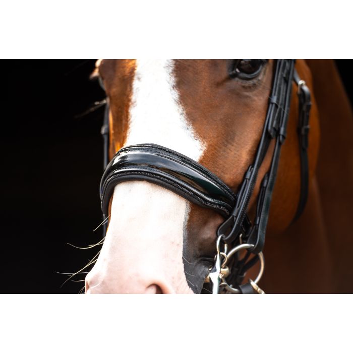 HB Showtime All You Needed - Trens Stang & Trens - Maddelin Equestrian HB