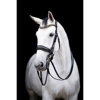 HB Showtime All You Needed - Trens Stang & Trens - Maddelin Equestrian HB