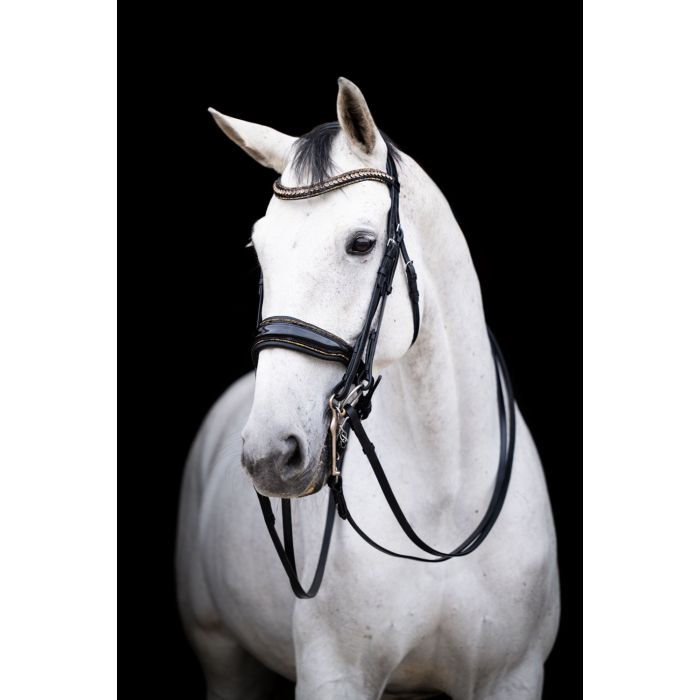 HB Showtime All You Needed - Trens Stang & Trens - Maddelin Equestrian HB