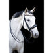 HB Showtime All You Needed - Trens Stang & Trens - Maddelin Equestrian HB