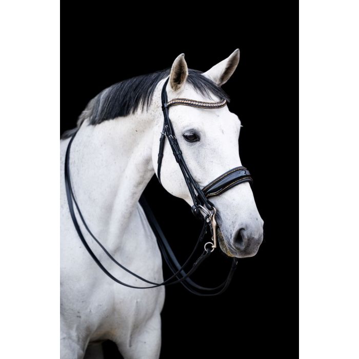 HB Showtime All You Needed - Trens Stang & Trens - Maddelin Equestrian HB