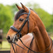 HB Showtime All You Needed - Trens Stang & Trens - Maddelin Equestrian HB