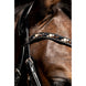 HB Showtime Anatomisch Hoofdstel Luipaard Trenshoofdstellen - Maddelin Equestrian