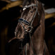 HB Showtime Black River Trenshoofdstel Trenshoofdstellen - Maddelin Equestrian HB