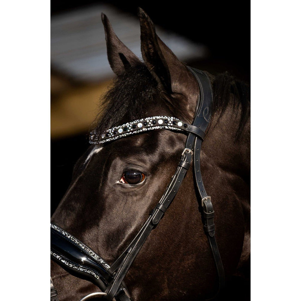 HB Showtime Black River Trenshoofdstel Trenshoofdstellen - Maddelin Equestrian HB