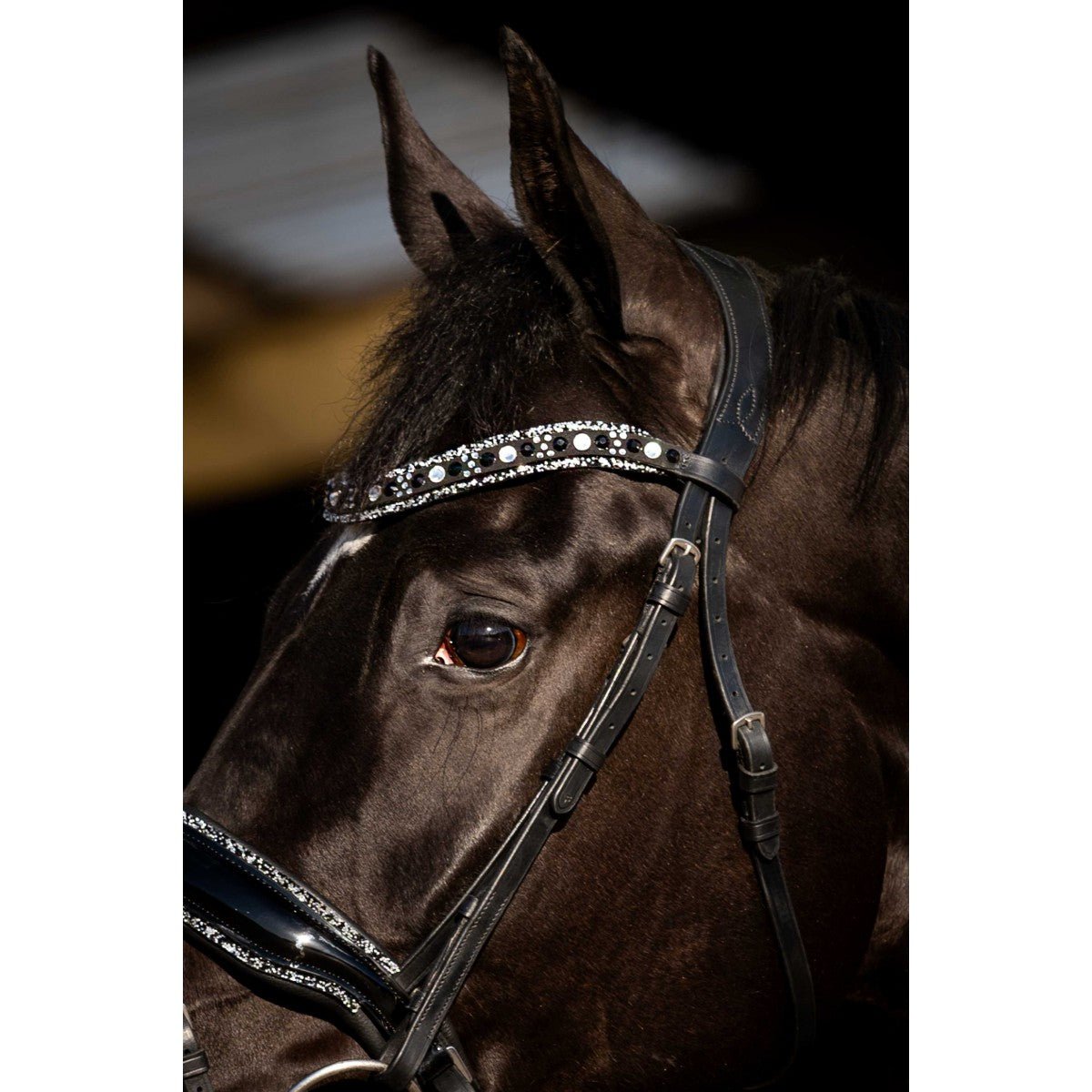 HB Showtime Black River Trenshoofdstel Trenshoofdstellen - Maddelin Equestrian HB