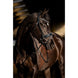 HB Showtime Black River Trenshoofdstel Trenshoofdstellen - Maddelin Equestrian HB