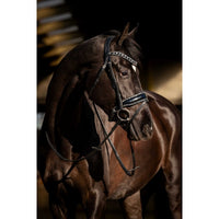 HB Showtime Black River Trenshoofdstel Trenshoofdstellen - Maddelin Equestrian HB