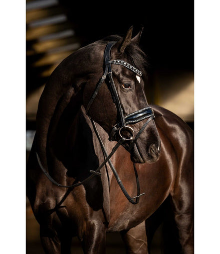 HB Showtime Black River Trenshoofdstel Trenshoofdstellen - Maddelin Equestrian HB